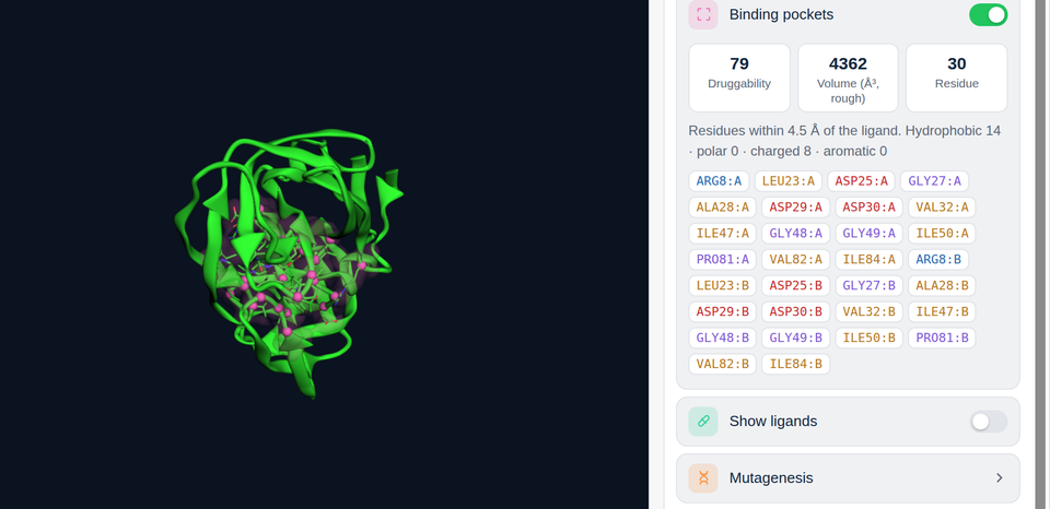 Code2Fold Studio structure viewer with the Analyses panel